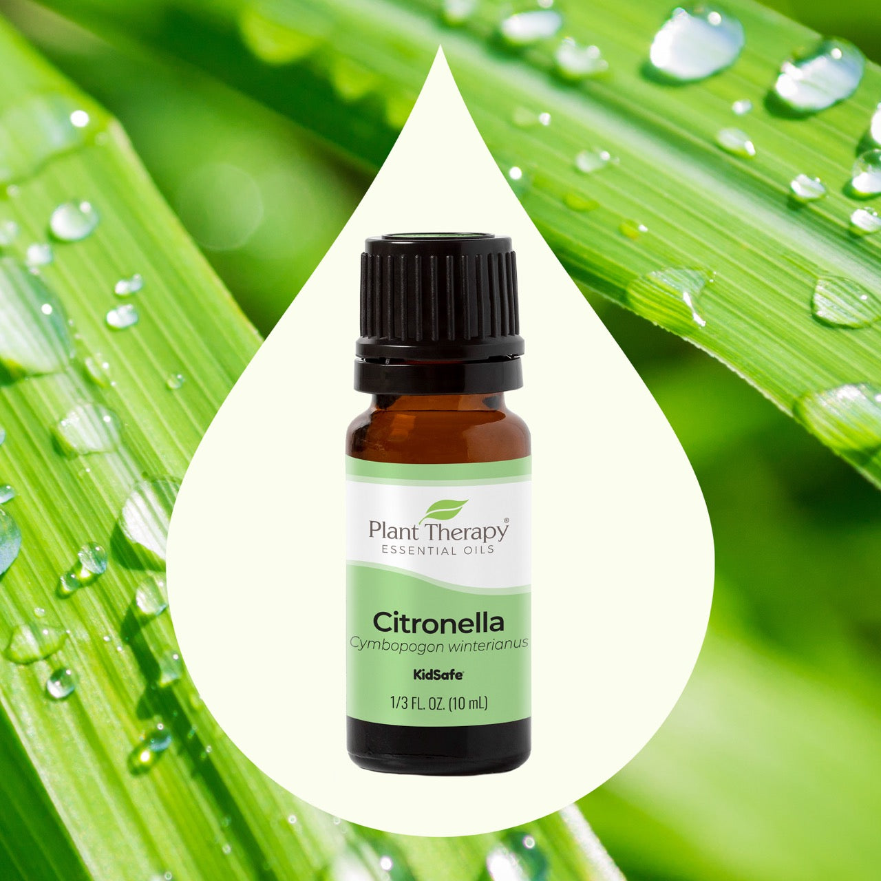 Citronella Essential Oil with key ingredient image