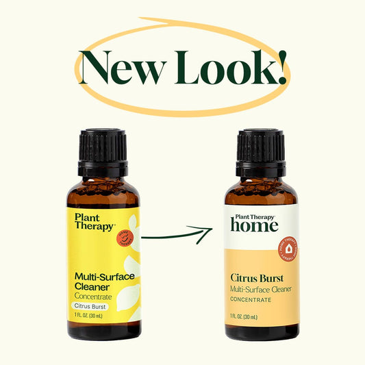 Cleaning Duo: Citrus Burst + Spray Bottle