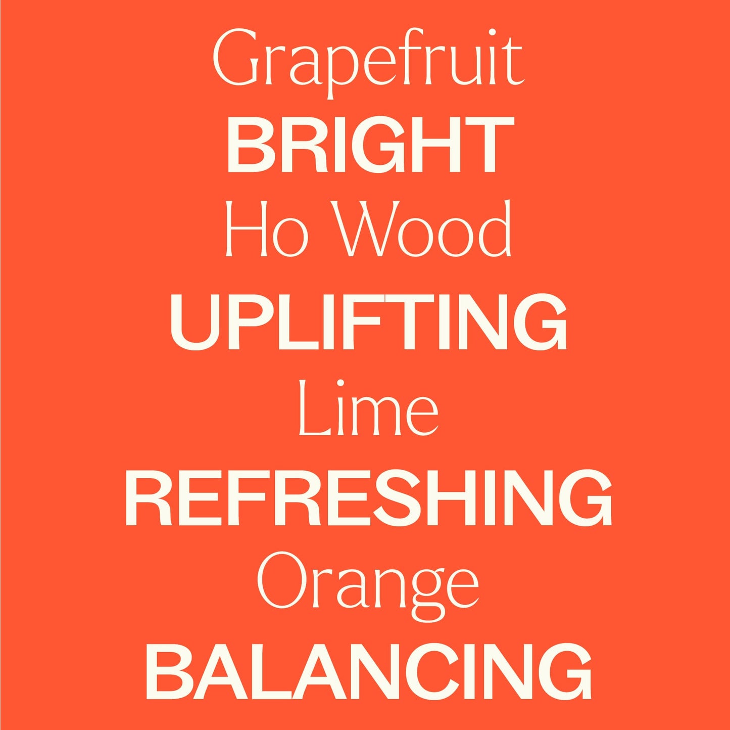 Citrus Rise Body Oil