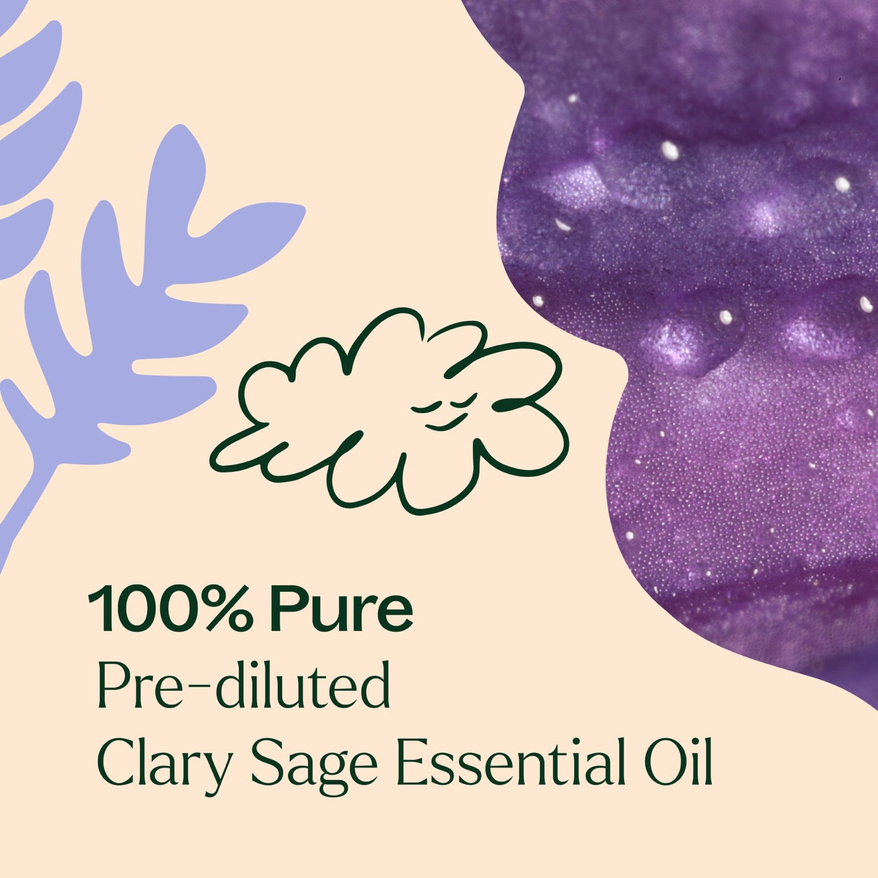 100% pure prediluted Clary Sage Essential Oil