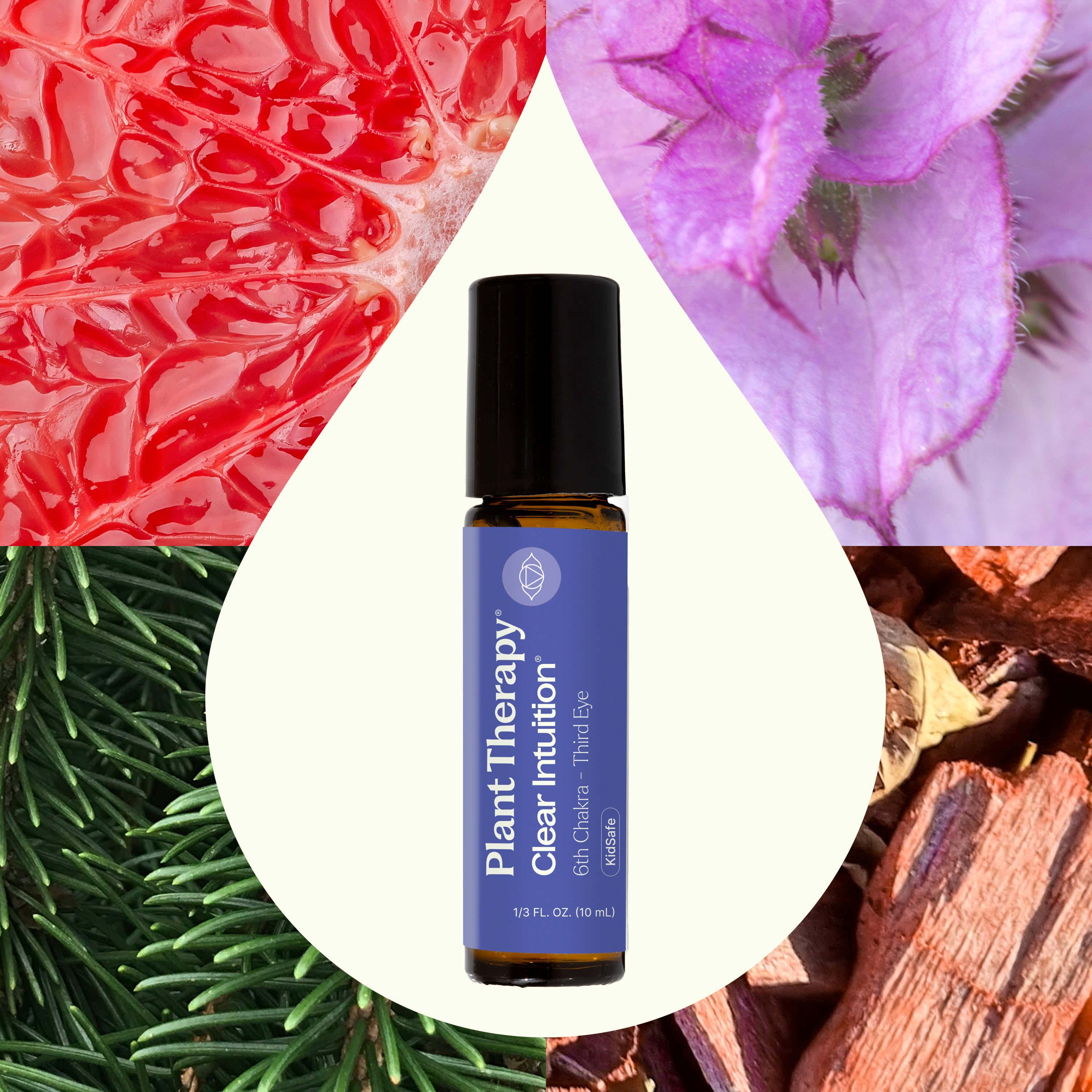 Clear Intuition Brow Chakra Oil - Plant Therapy