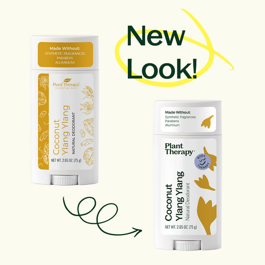 Coconut Ylang Ylang Natural Deodorant