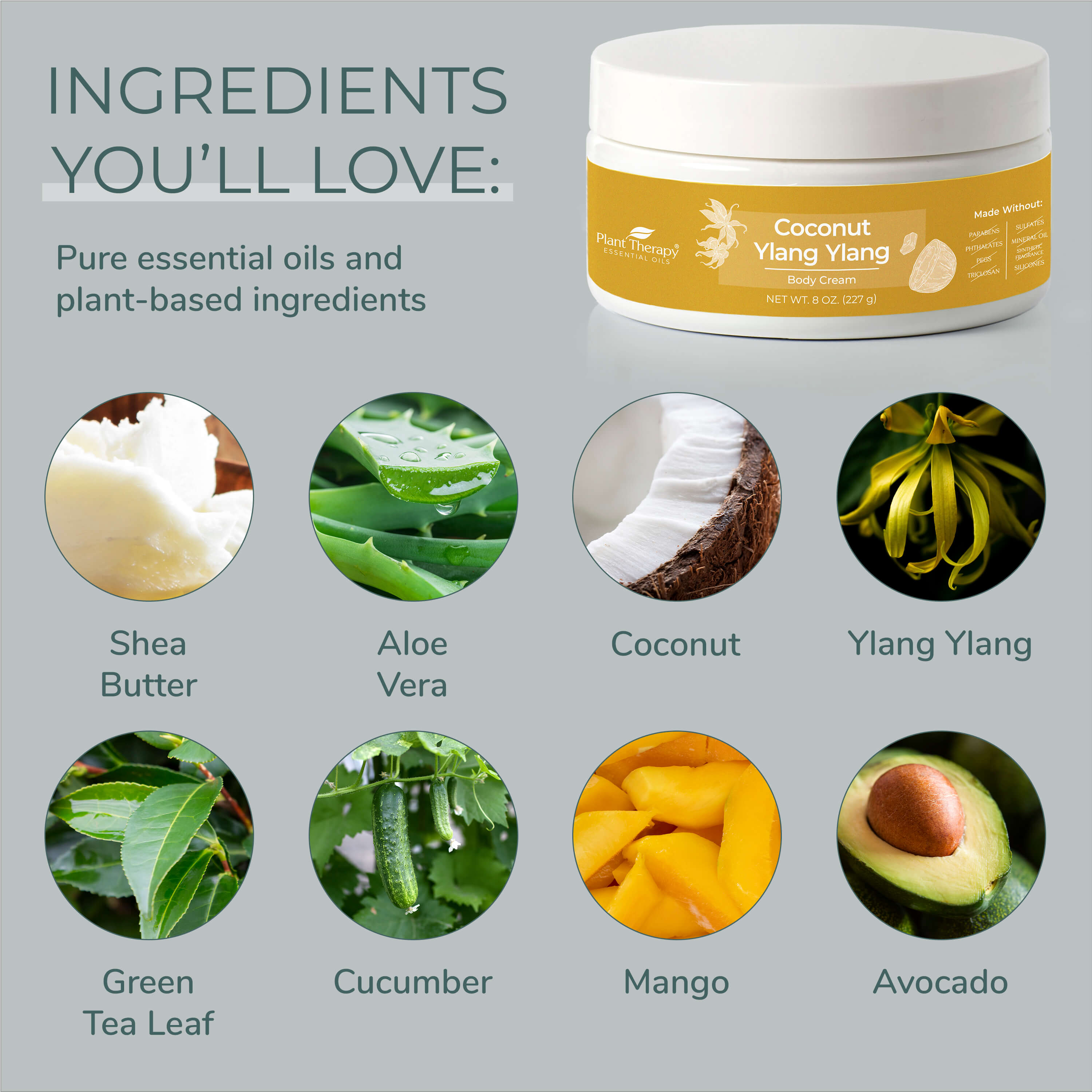 Coconut Ylang Ylang Body Cream Plant Therapy