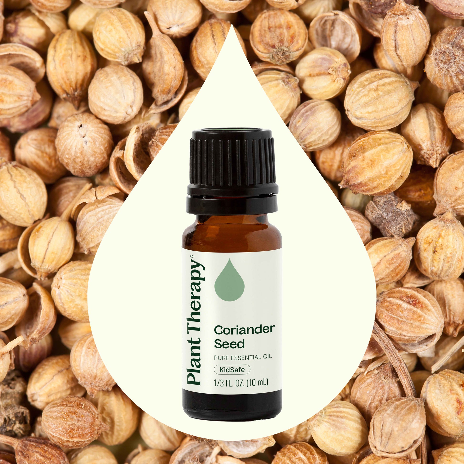 Coriander Seed Essential Oil