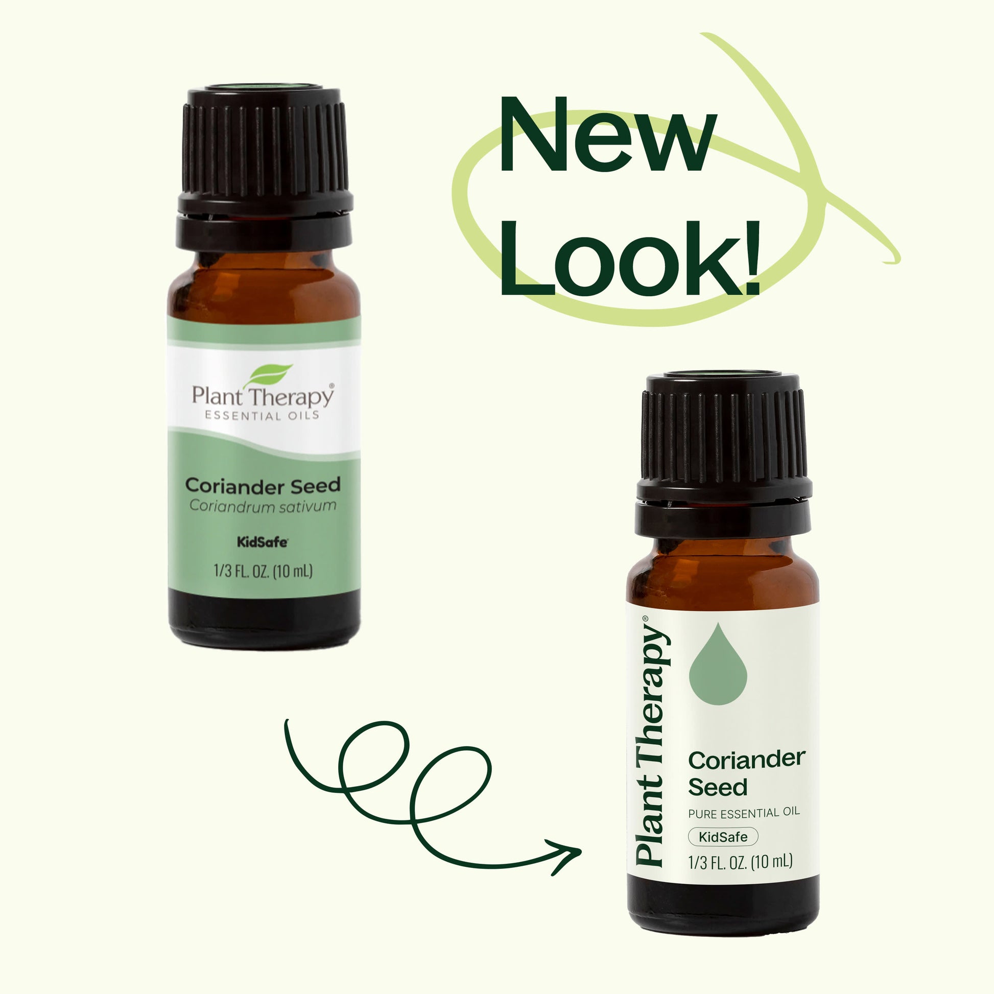 Coriander Seed Essential Oil