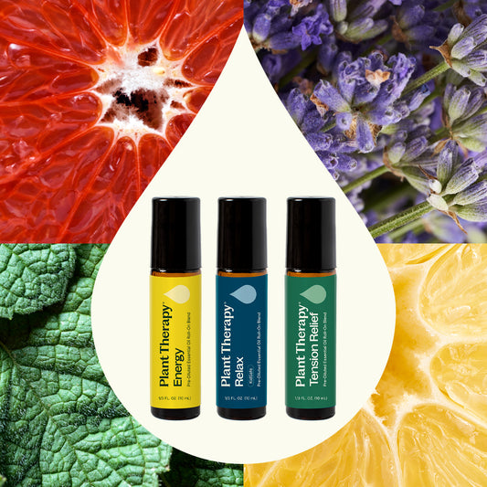 Daily Support Roll-On Trio