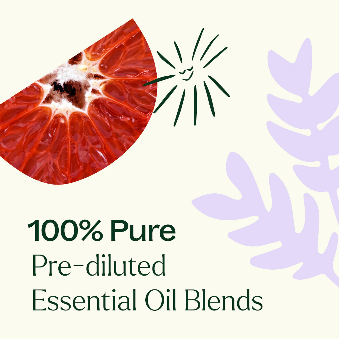 Daily Support Roll-On Trio