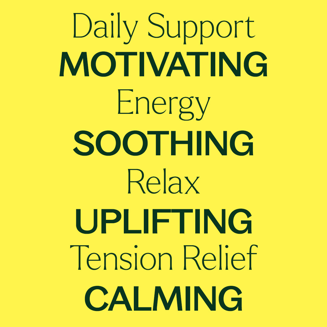 Daily Support Roll-On Trio