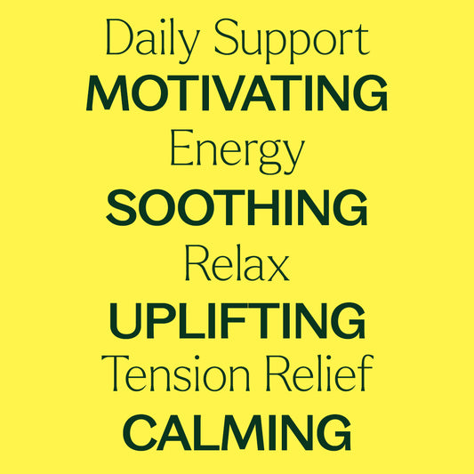 Daily Support Roll-On Trio