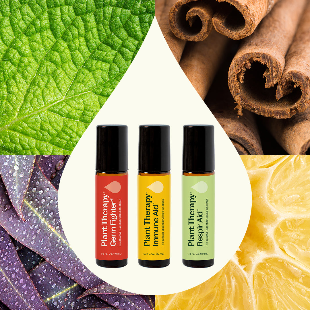 Daily Wellness Roll-On Trio – Plant Therapy