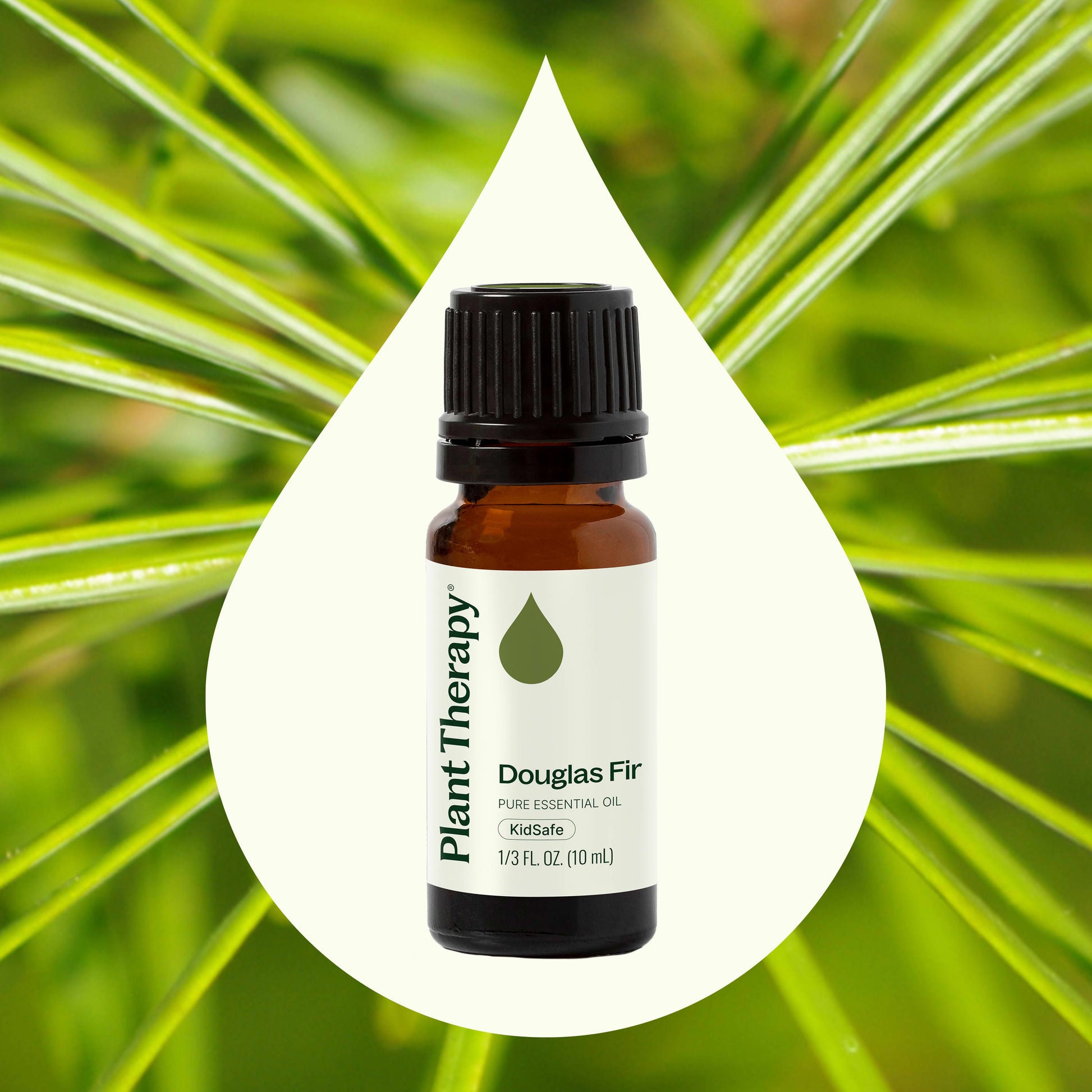 Douglas Fir Essential Oil