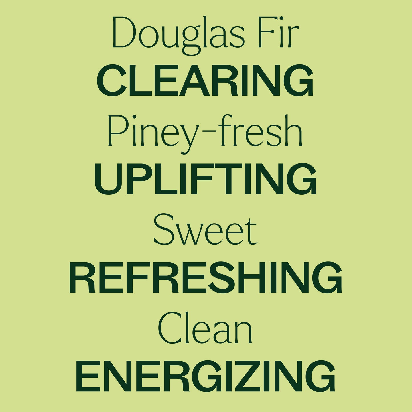 Douglas Fir Essential Oil