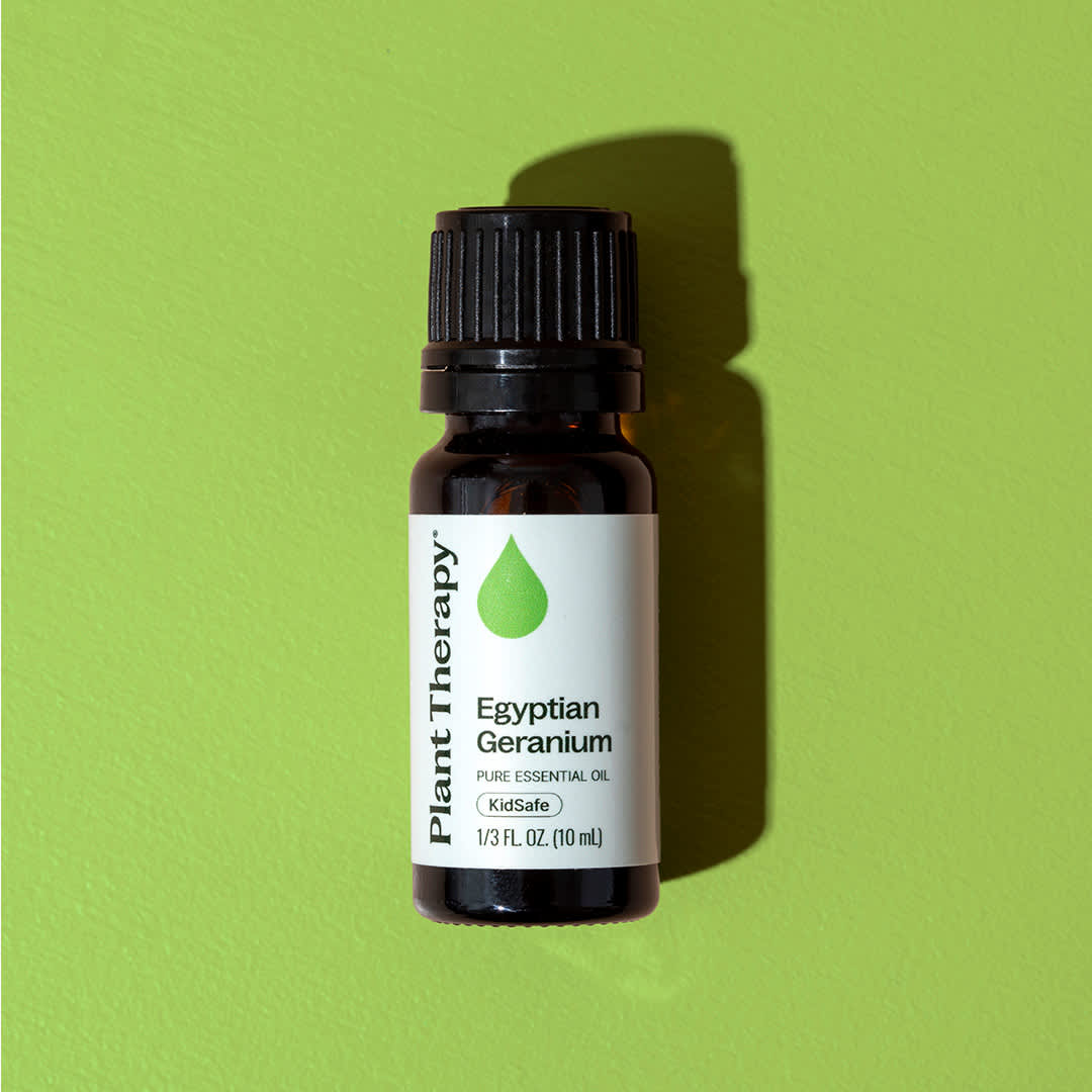 Egyptian Geranium Essential Oil – Plant Therapy