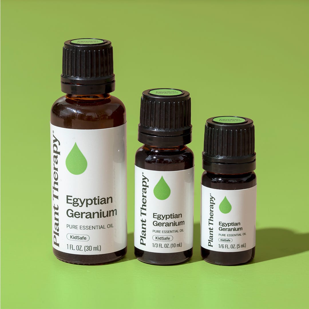 Egyptian Geranium Essential Oil – Plant Therapy