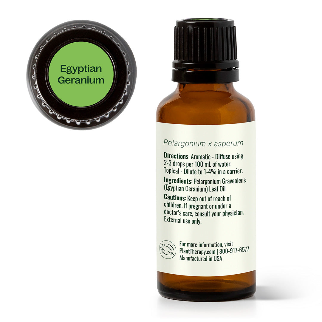 Egyptian Geranium Essential Oil – Plant Therapy