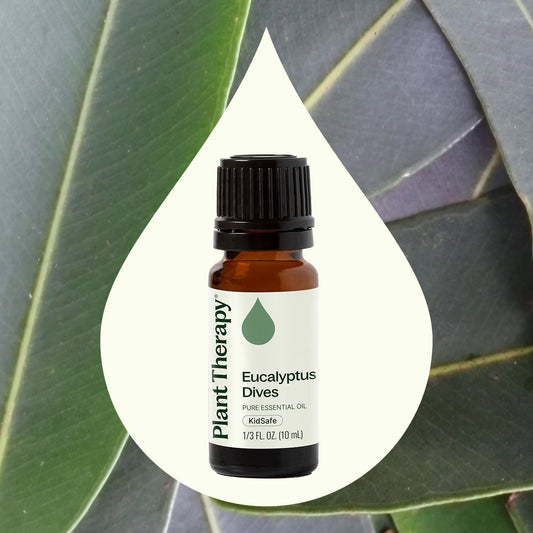 Eucalyptus Dives Essential Oil