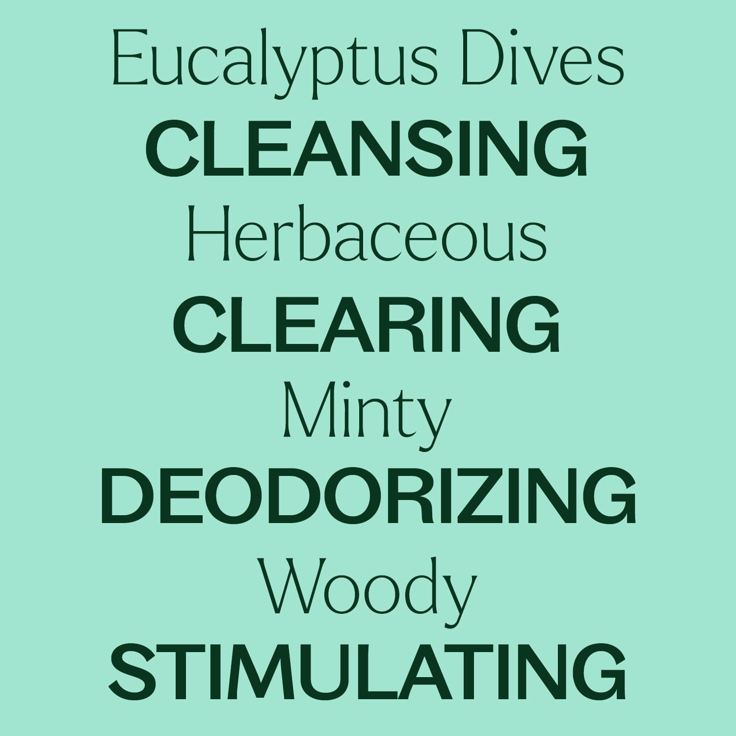 Eucalyptus Dives Essential Oil
