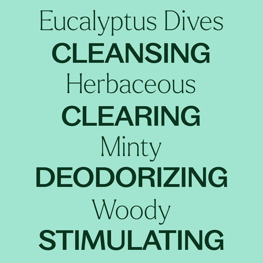Eucalyptus Dives Essential Oil
