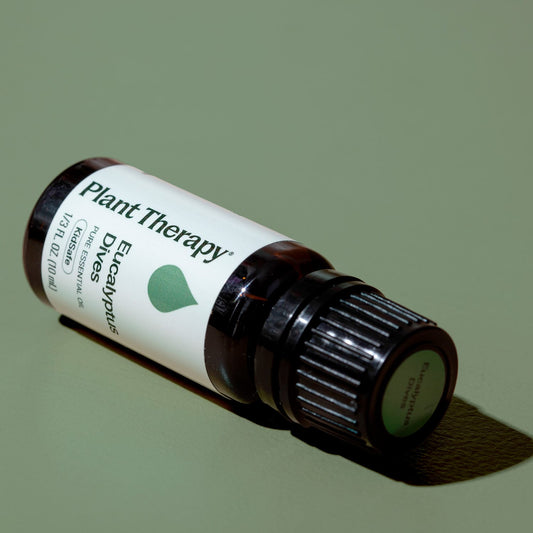 Eucalyptus Dives Essential Oil