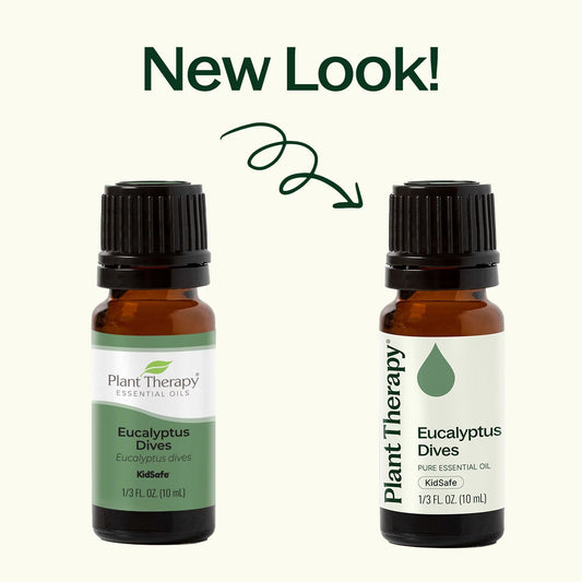 Eucalyptus Dives Essential Oil