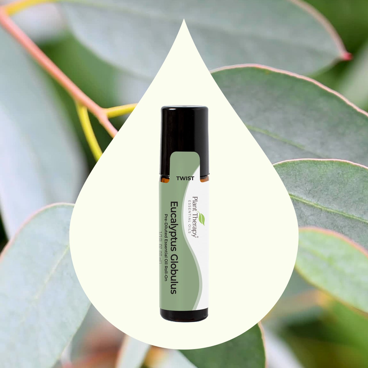 Eucalyptus Globulus Essential Oil Pre-Diluted Roll-On with key ingredient imagery