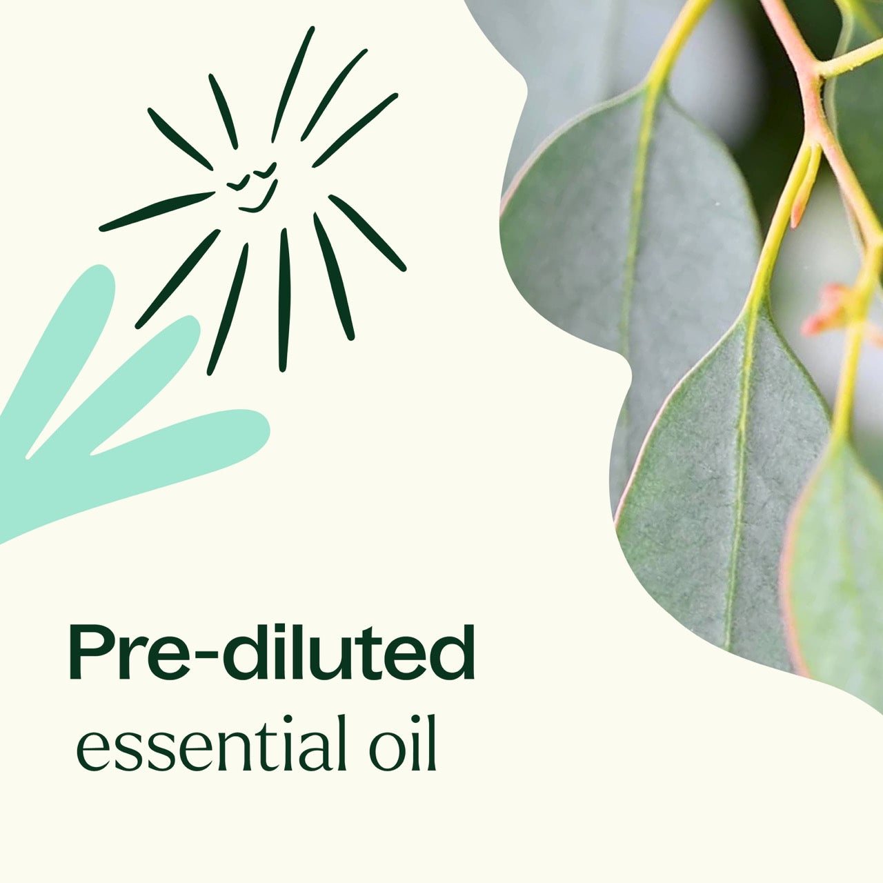 Eucalyptus Globulus Essential Oil Pre-Diluted Roll-On