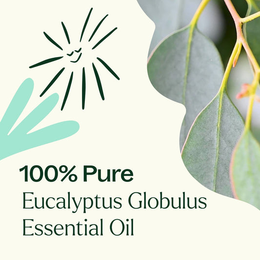 100% Pure Eucalyptus Globulus Essential Oil