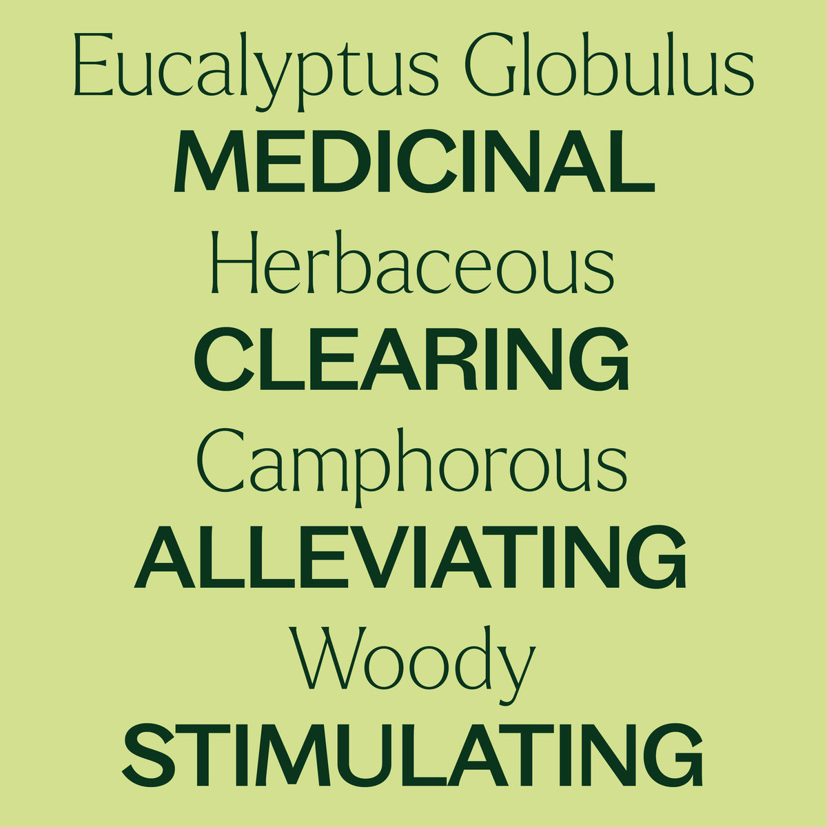 Eucalyptus Globulus Essential Oil Bulk