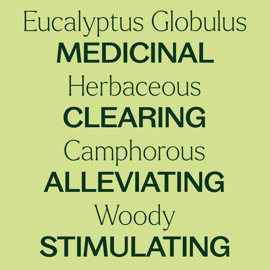 Eucalyptus Globulus Essential Oil Bulk