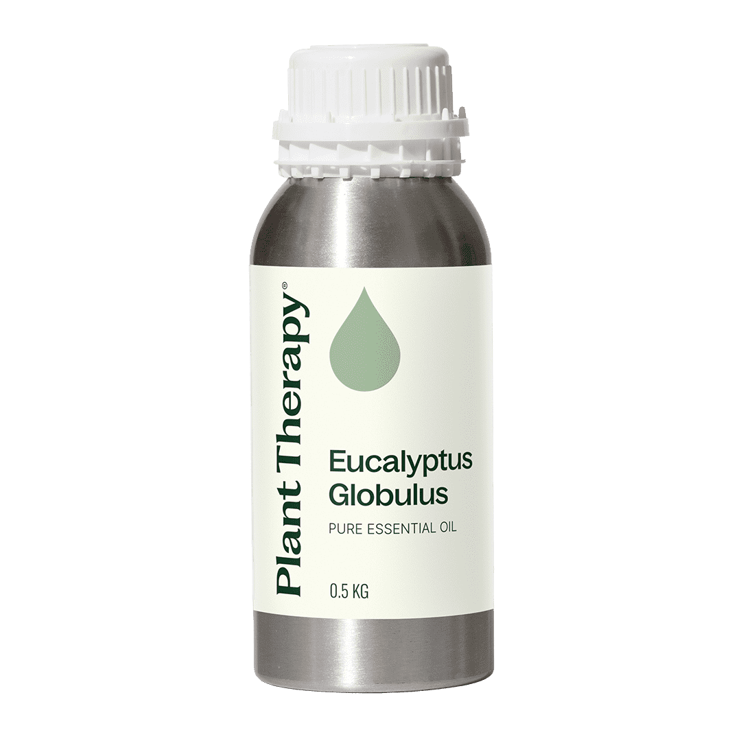 Eucalyptus Globulus Essential Oil Bulk