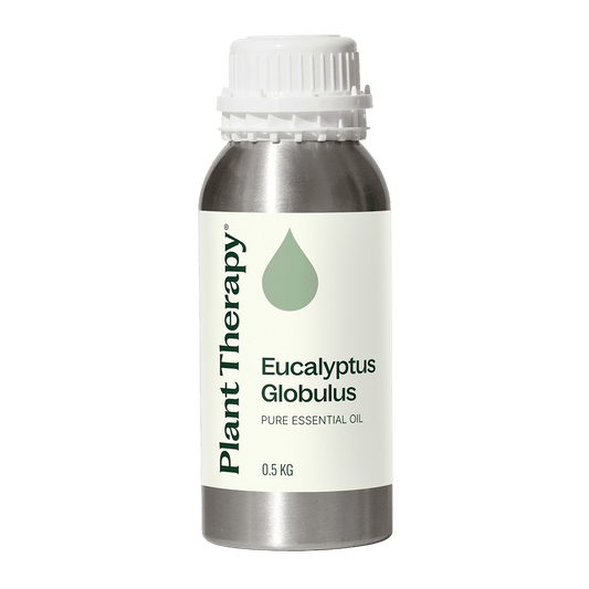 Eucalyptus Globulus Essential Oil Bulk