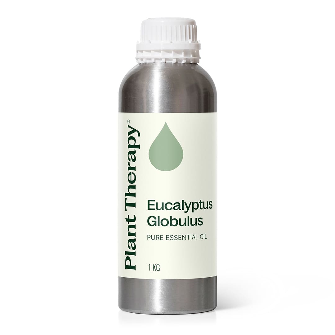 Eucalyptus Globulus Essential Oil Bulk