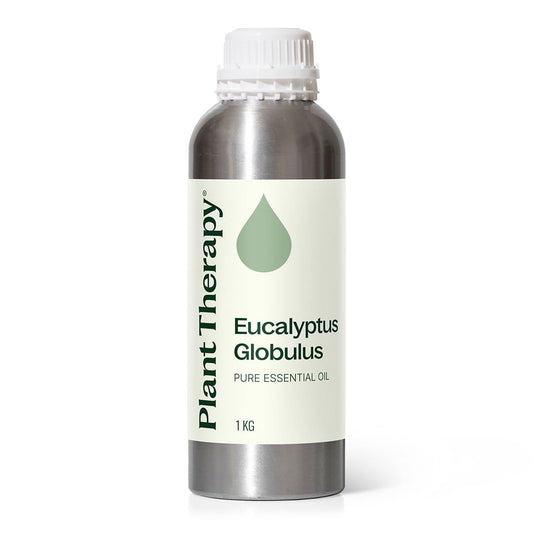 Eucalyptus Globulus Essential Oil Bulk