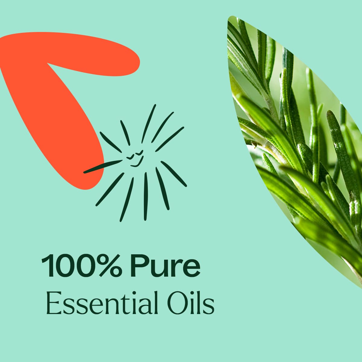 Eucalyptus Mint Essential Oil Blend