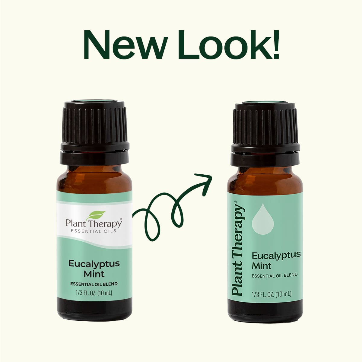 Eucalyptus Mint Essential Oil Blend – Plant Therapy