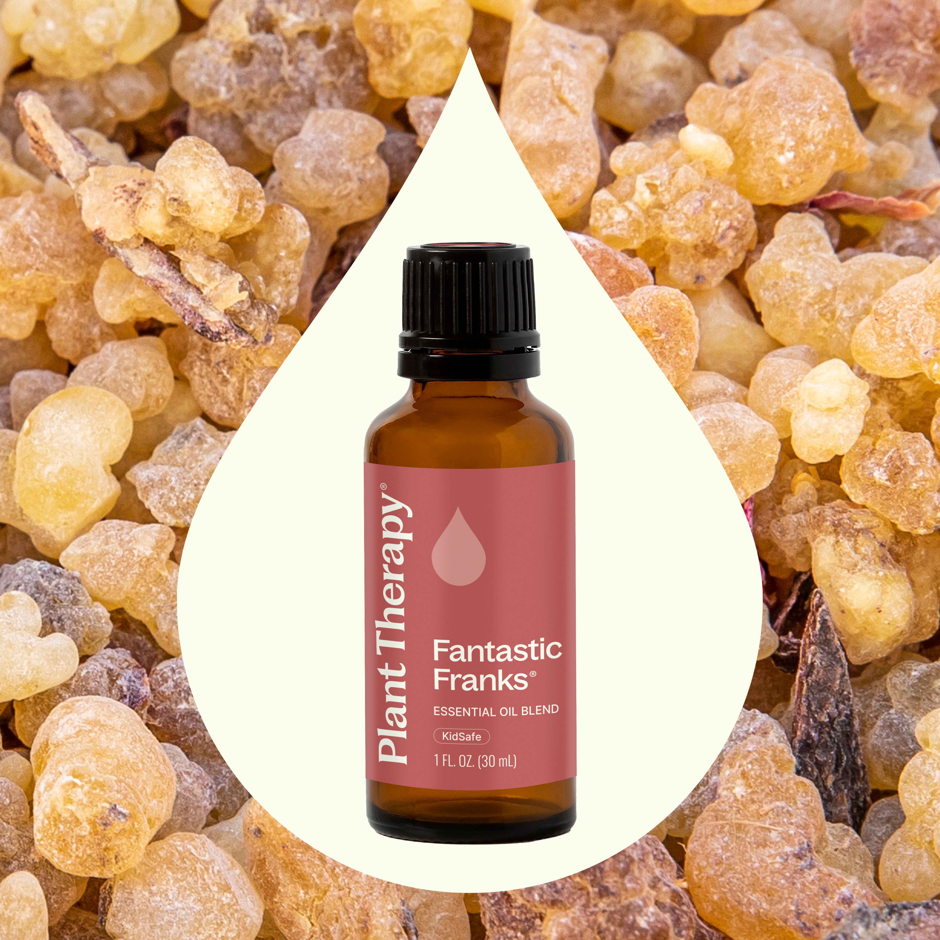 Fantastic Franks™ Essential Oil Blend – Plant Therapy
