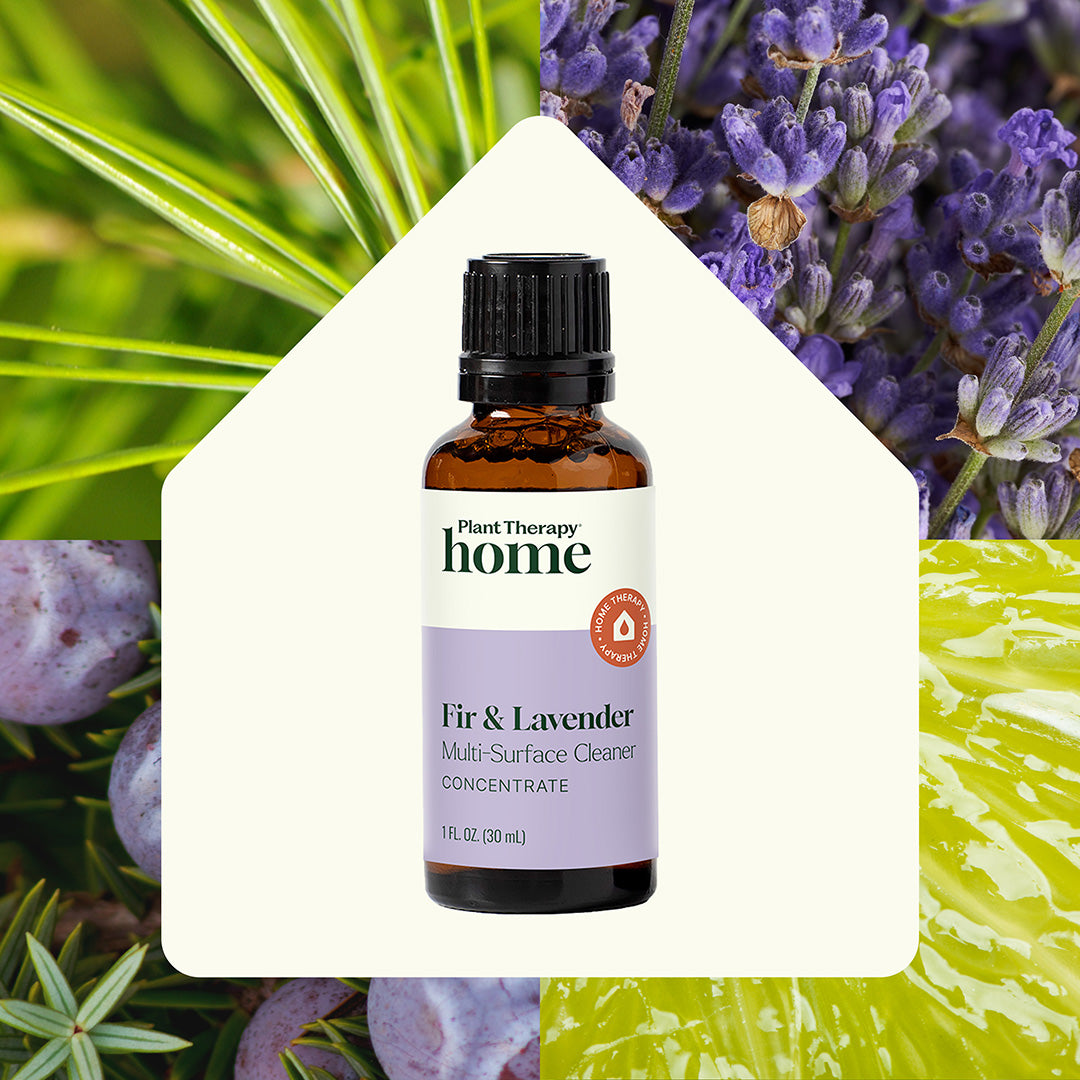 Cleaning Duo: Fir & Lavender Multi Surface Cleaner + Spray Bottle