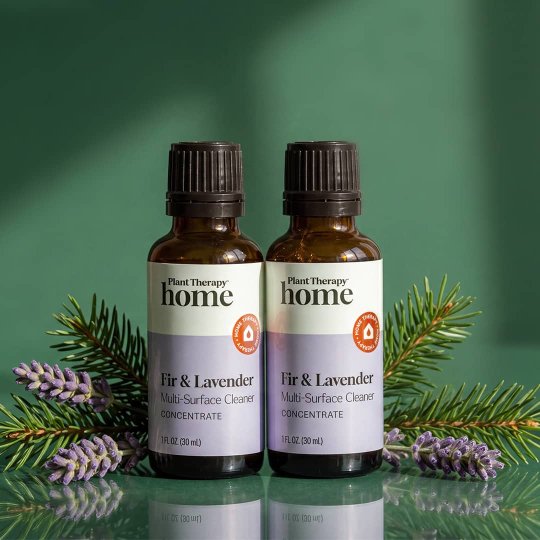 Fir & Lavender Multi-Surface Cleaner Concentrate 2-Pack