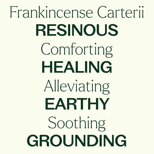 frankincense carterii essential oil is resinous, comforting, healing, alleviating, earthy, soothing, grounding