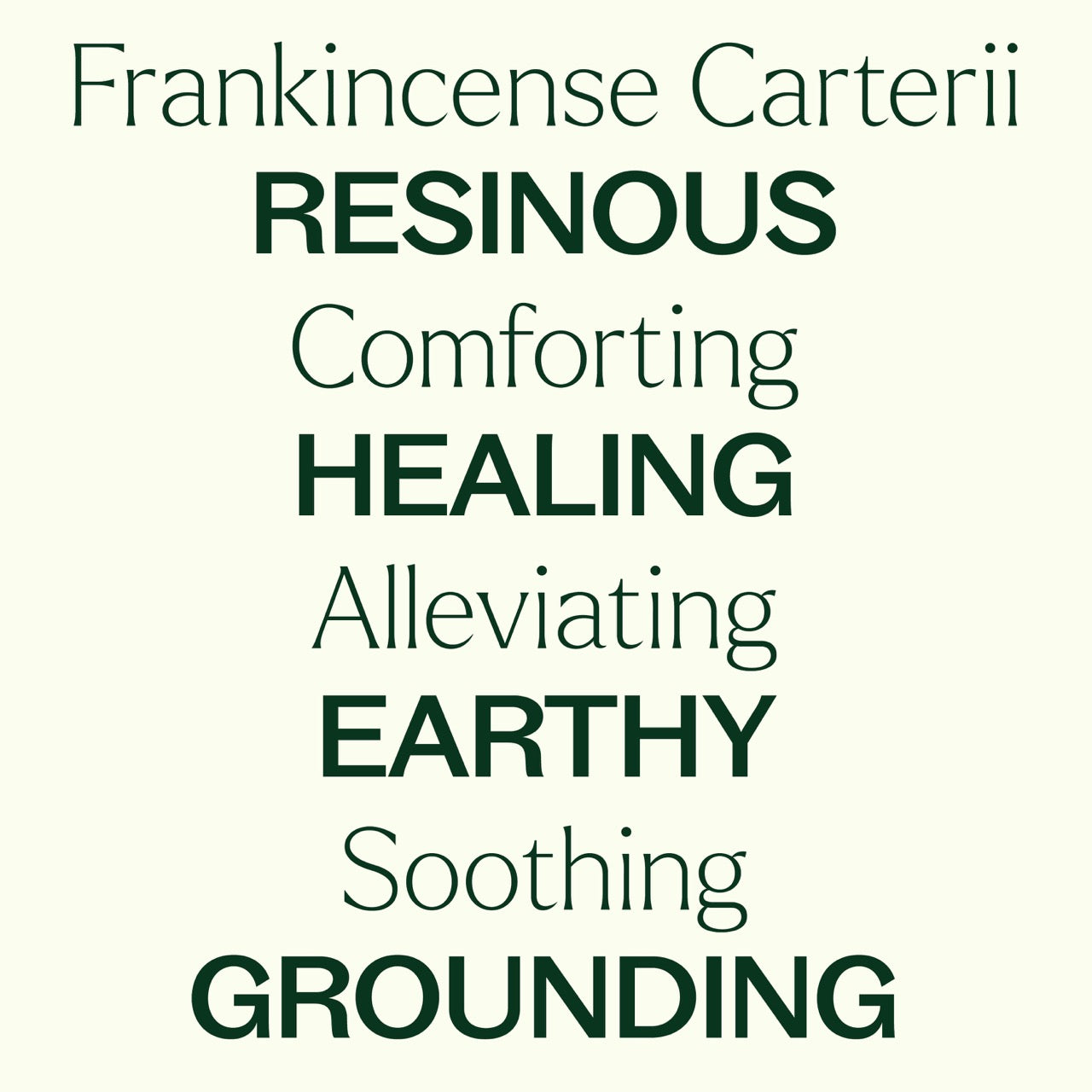 Frankincense Carterii Essential Oil Pre-Diluted Roll-On key features: resinous, comforting, healing, alleviating, earthy, soothing, grounding