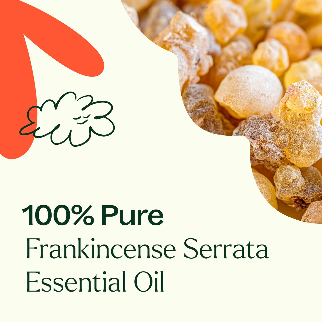 100% pure Frankincense Serrata Essential Oil