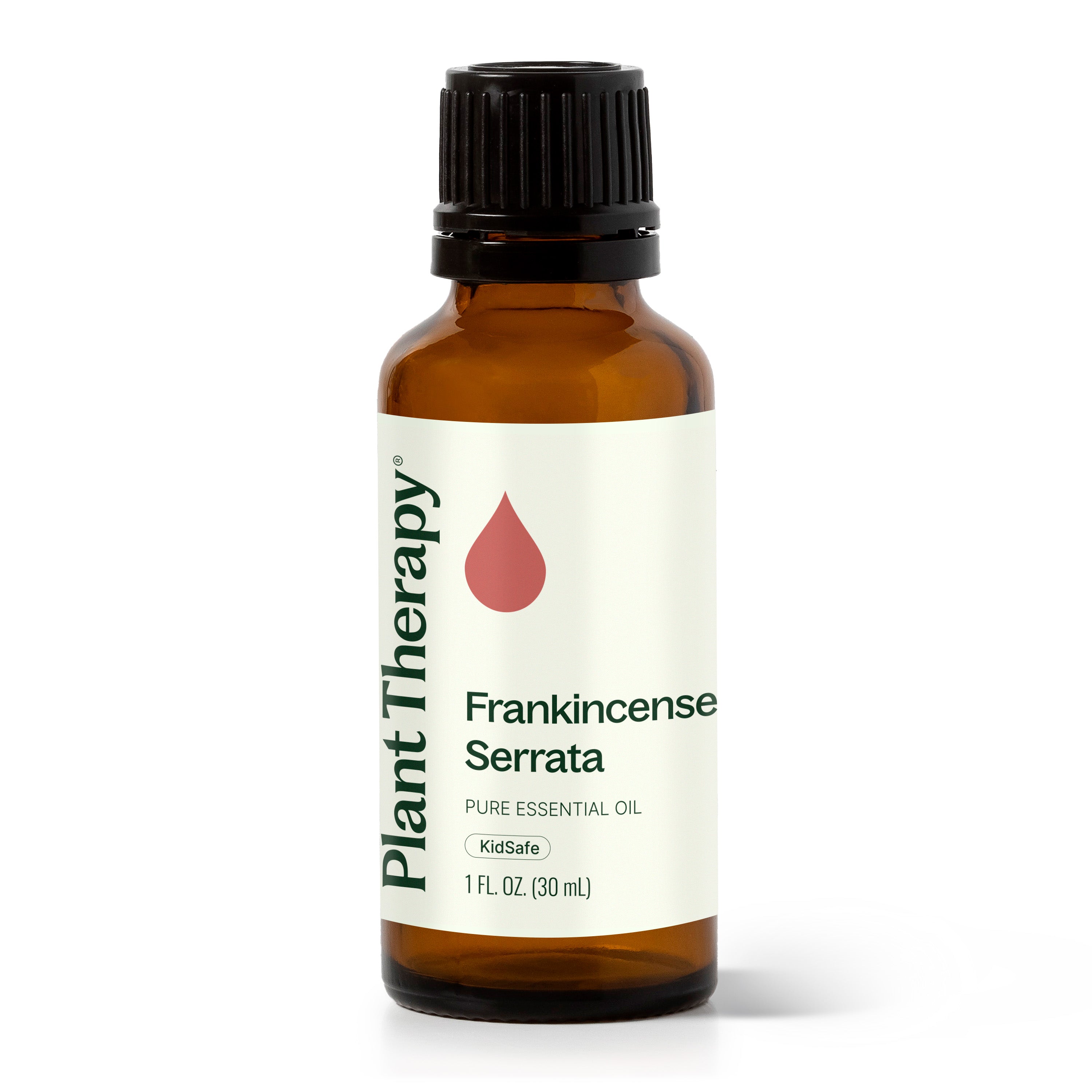 Frankincense Serrata Essential Oil – Plant Therapy
