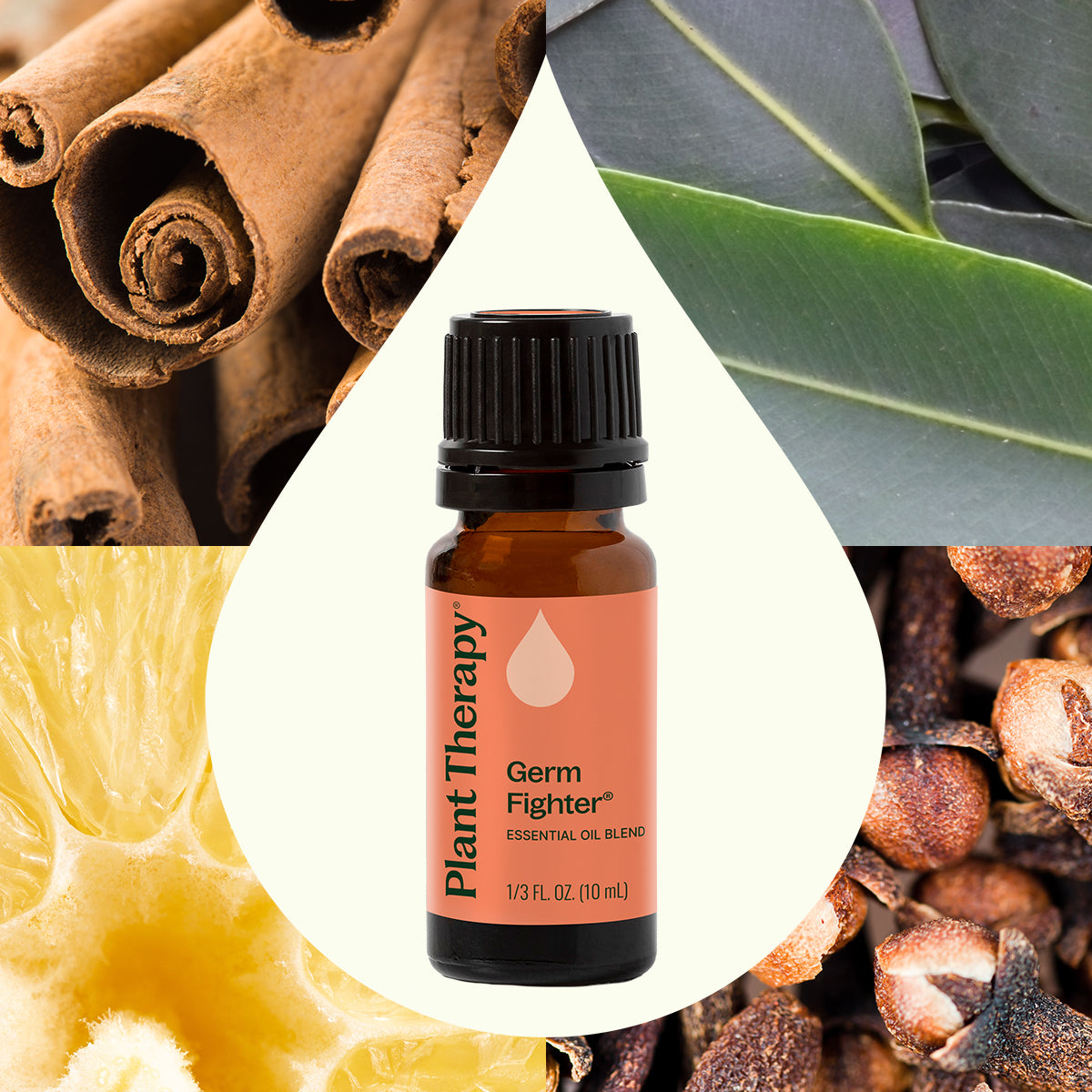 Germ Fighter Essential Oil Blend