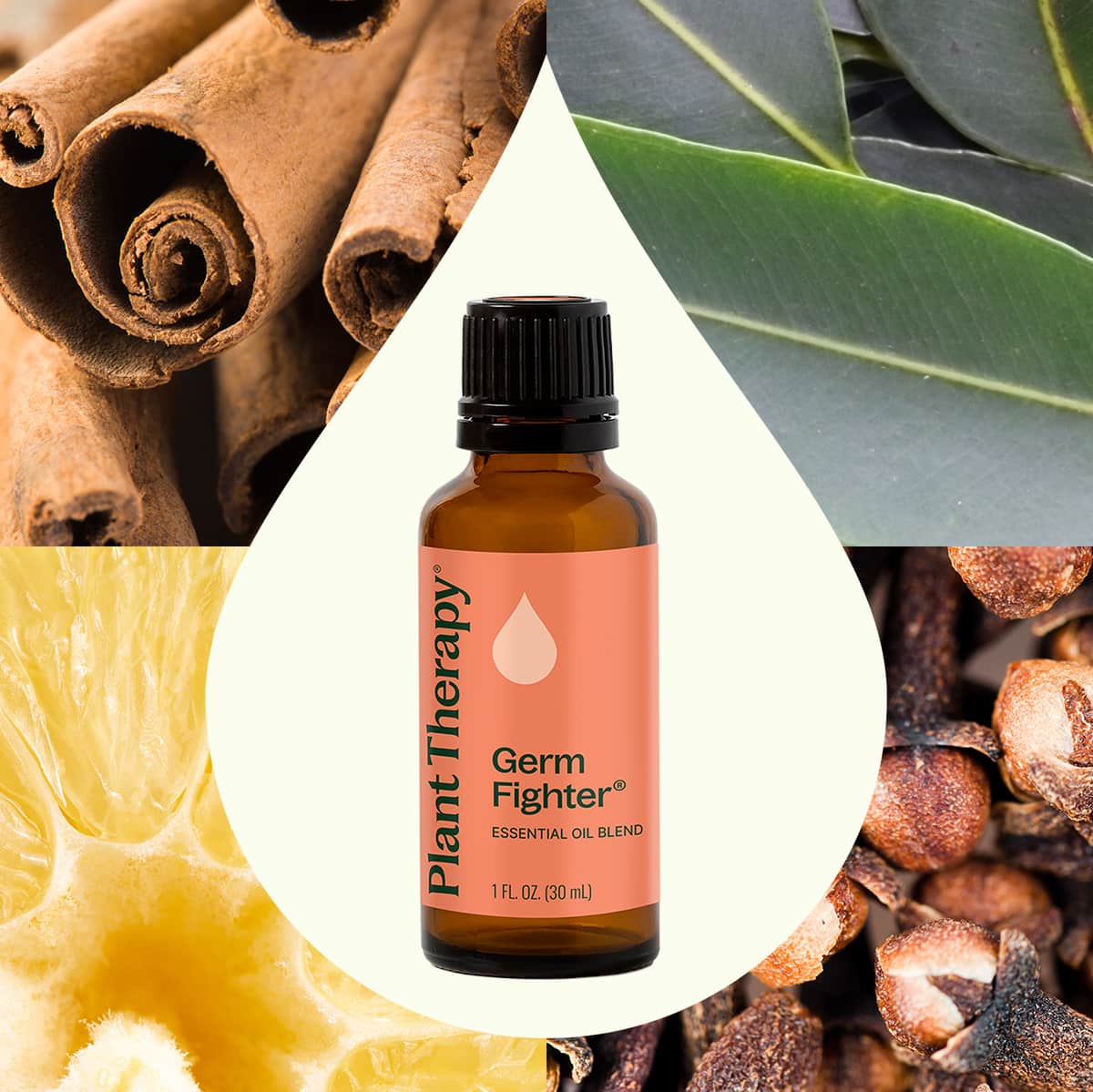 Germ Fighter Essential Oil Blend