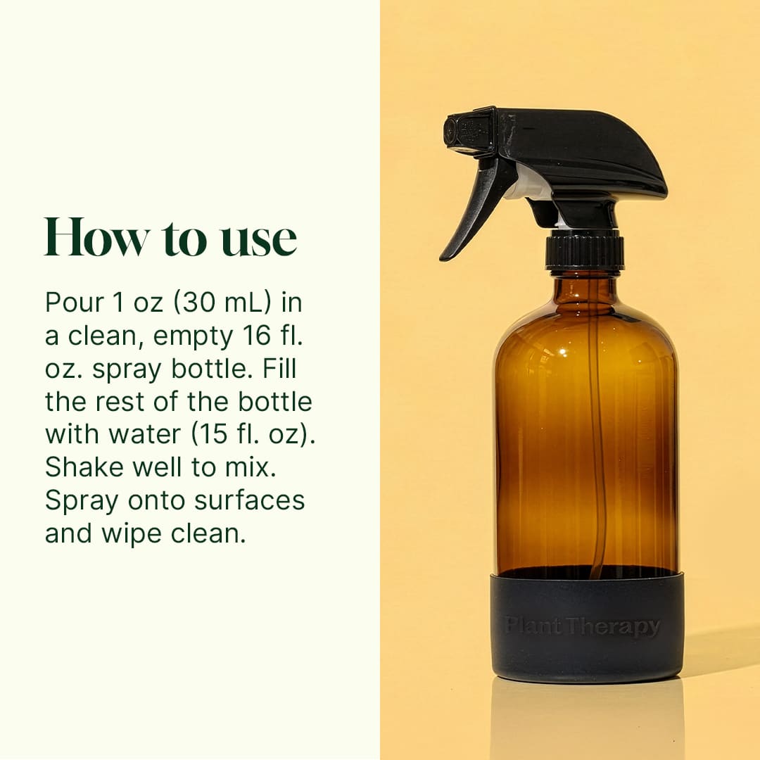 Cleaning Duo: Germ Fighter + Spray Bottle