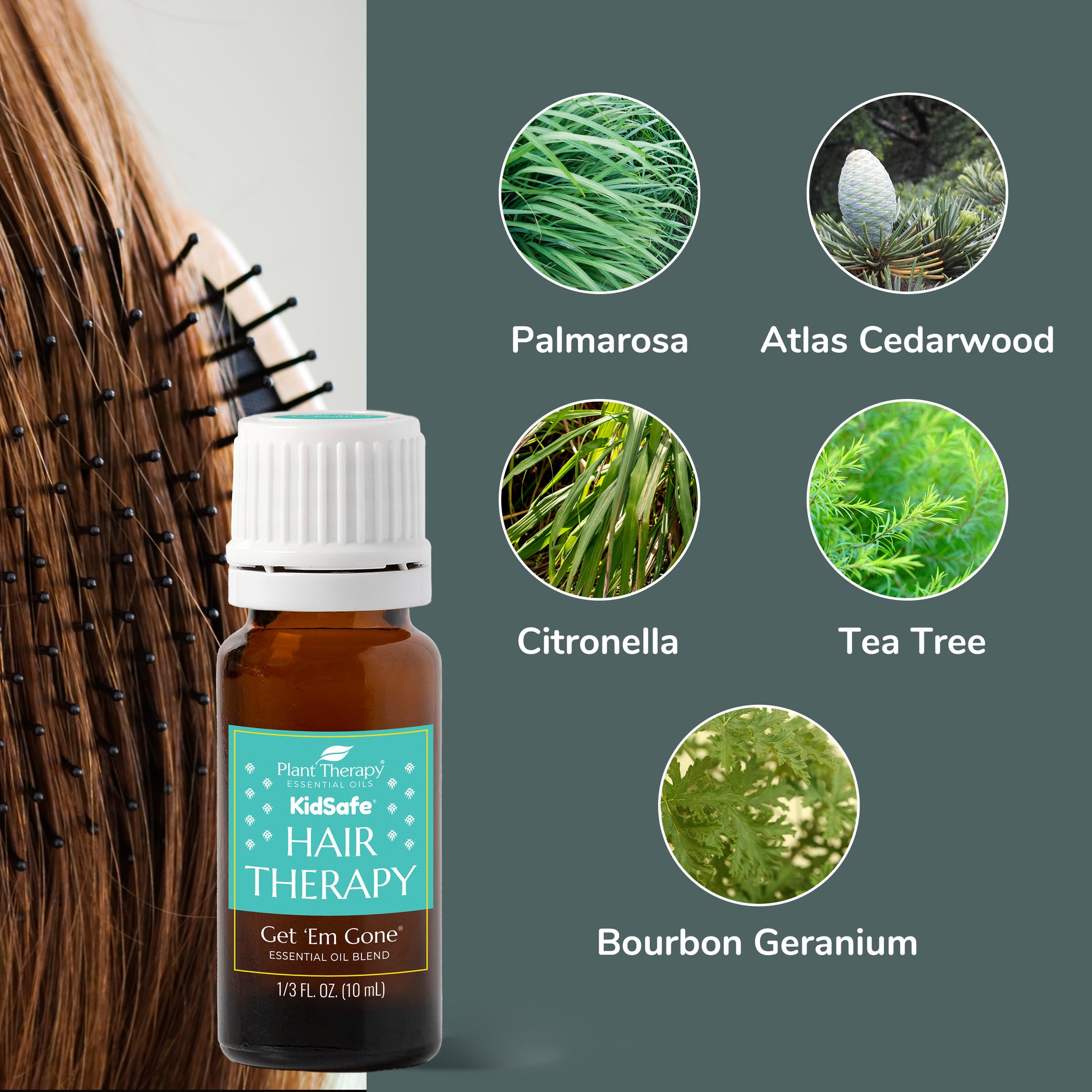Plant Therapy Tea Tree Essential Oil 1 oz