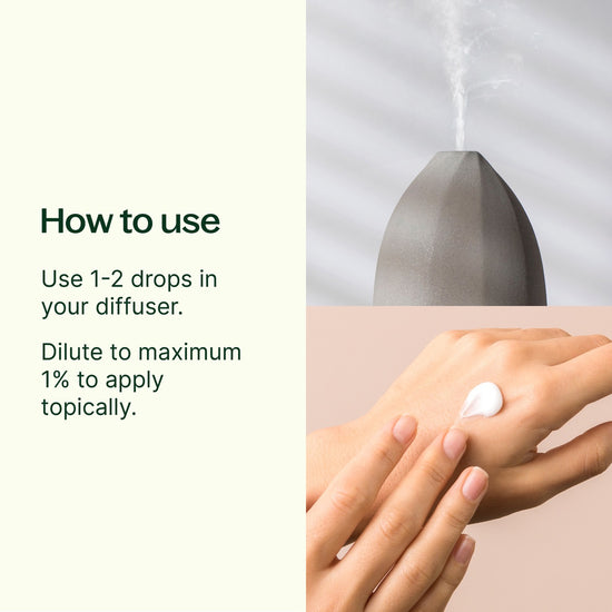 Ginger Root CO2 Extract Plant Therapy