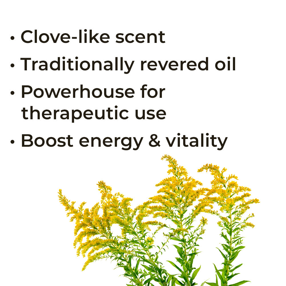Young Living Essential Oil Goldenrod 5ml New and Sealed Fresh