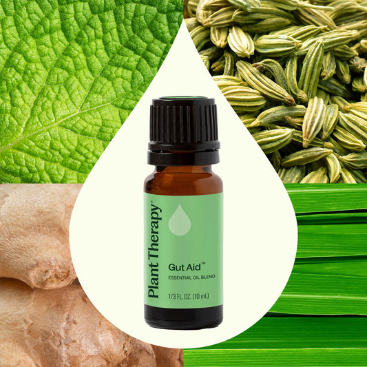 Gut Aid™ Essential Oil Blend
