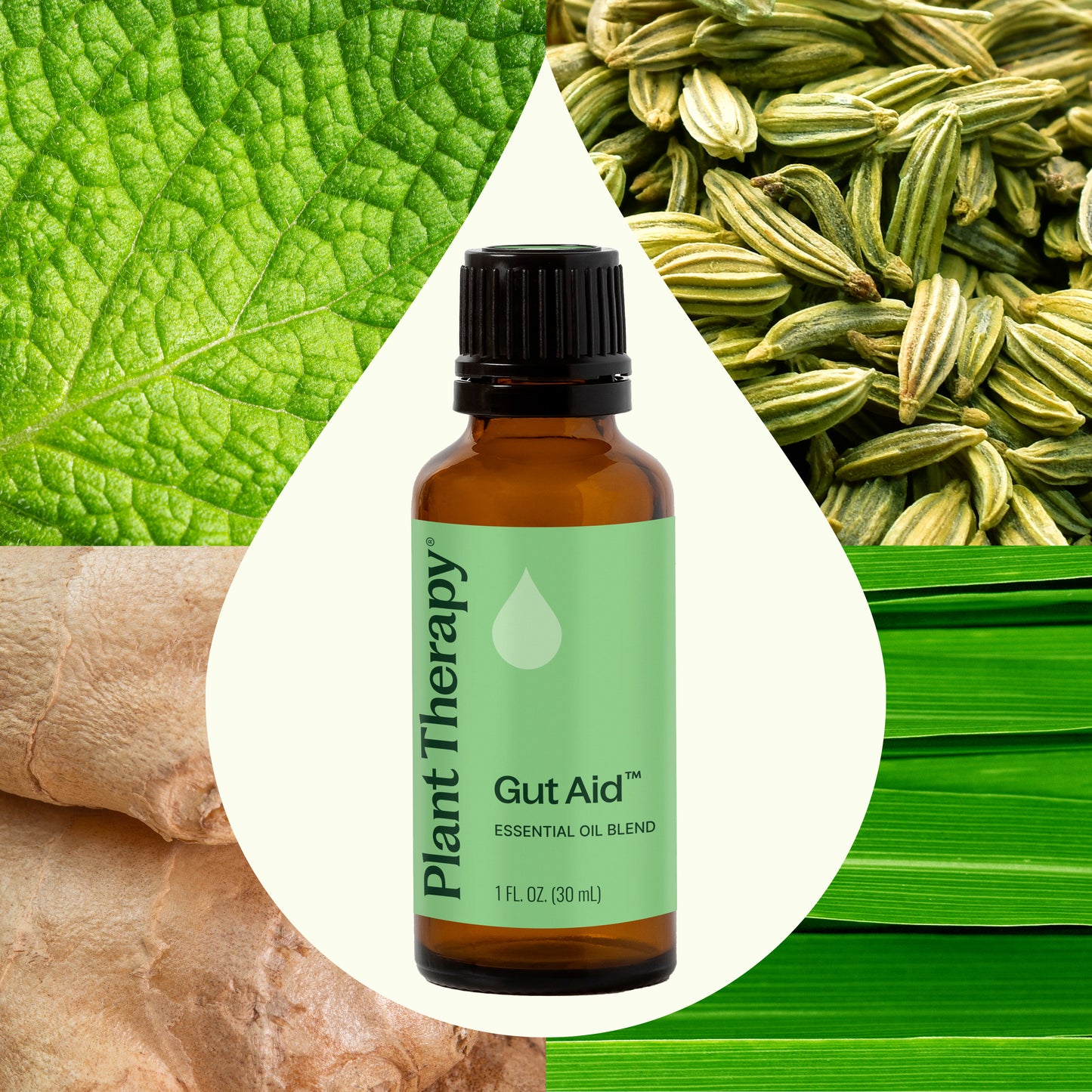 Gut Aid™ Essential Oil Blend